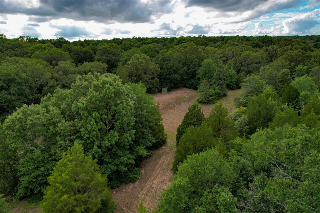 8690 County Road 1119