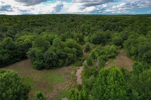 Photo of 8690 County Road 1119, Athens, TX 75751 (MLS # 21330777)