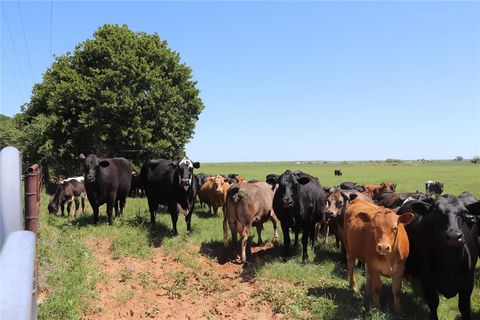 80 Acres South Deer Creek Rd Henrietta TX 76365