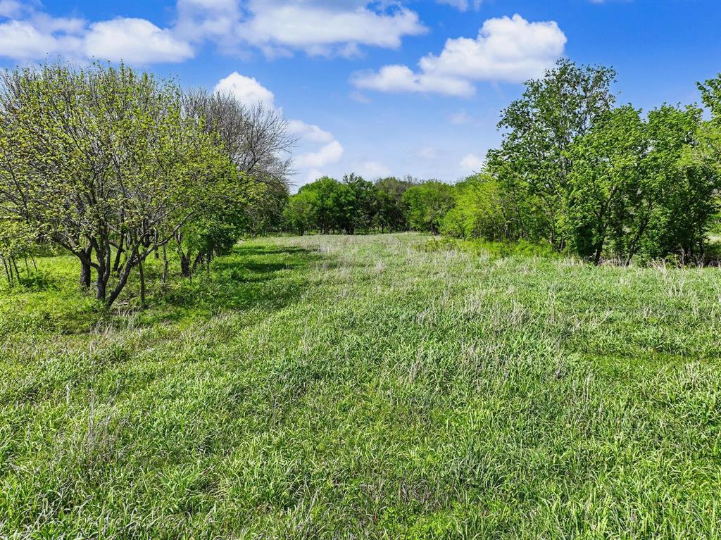 BAILEY WINIFRED A-G0064 - Land