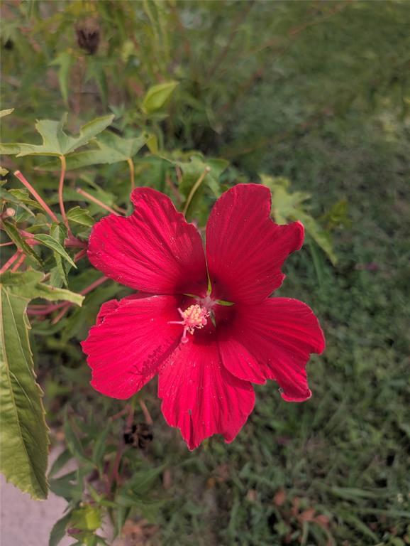 R Bell - Residential