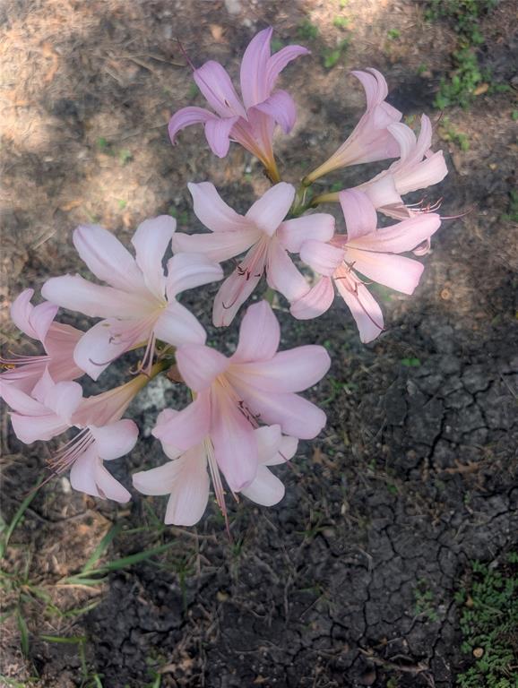 R Bell - Residential