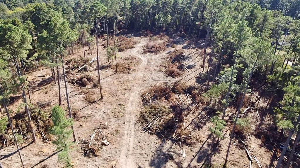 LAURA LEIGH ACRES - Land