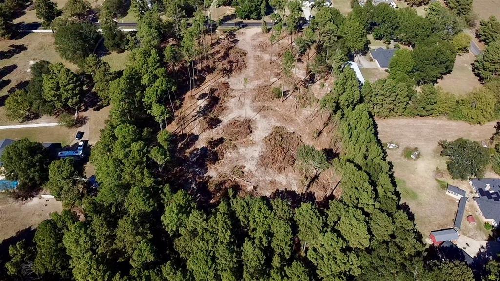 LAURA LEIGH ACRES - Land