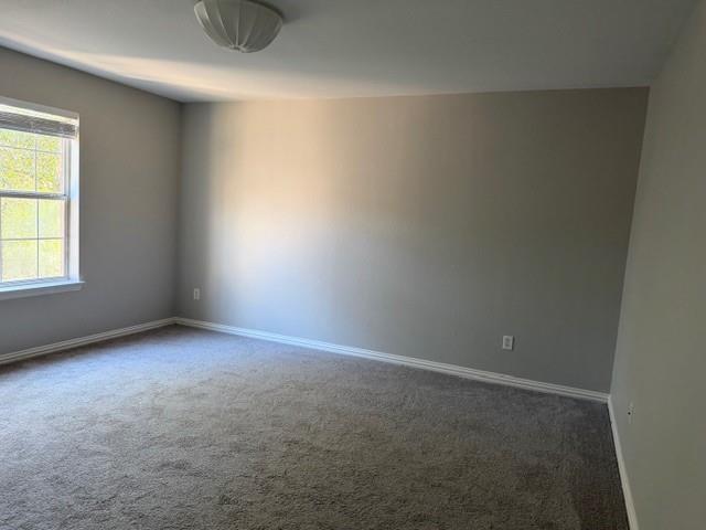 Paloma Creek South Ph 1 - Residential