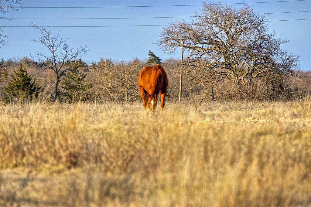 TBD CR 431 Road