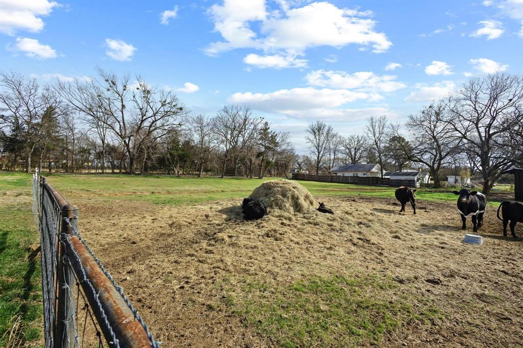 Ramon Rubio Surv Abs 996 - Land