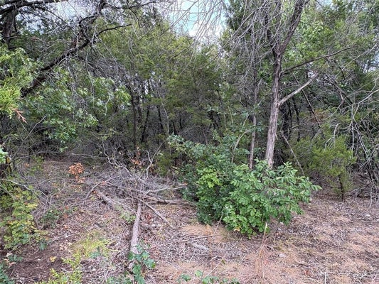 4426 W OAK TRL, GRANBURY, TX 76048 - Image 0e94fcca391e3d2a5edcd1dffb33f724/190313374