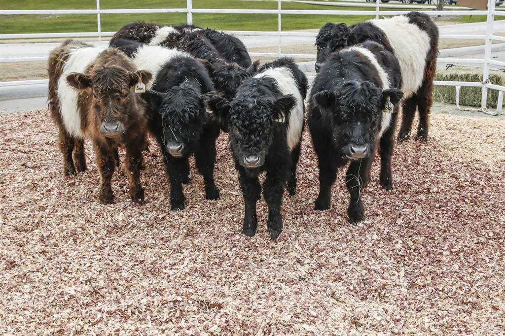 Sandbrock Ranch - Residential