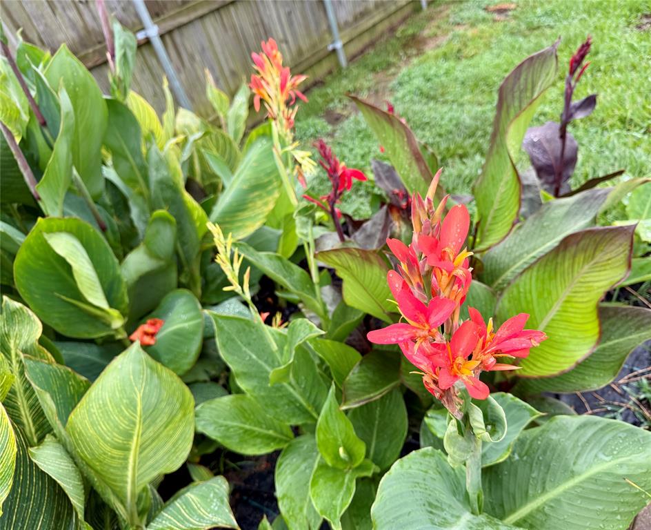 Oasis South Sub - Residential