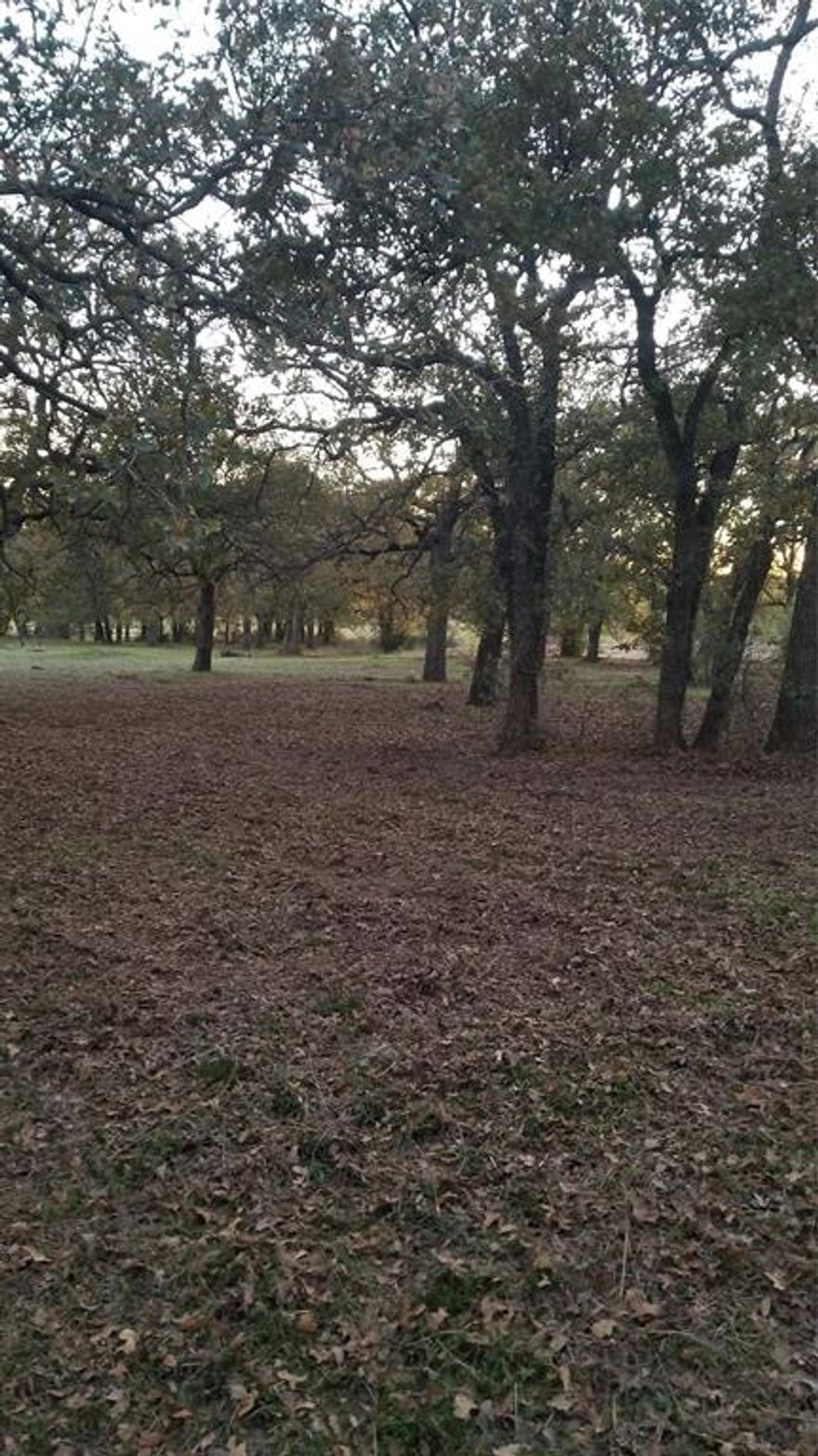 Gorgeous treed lot to build your new home on.  Tucked away off the county road with multiple build sites.  No HOA. No mobile homes.   Minor restrictions to maintain value.  The buyer will need to install a well and septic. There is no sign yet.
