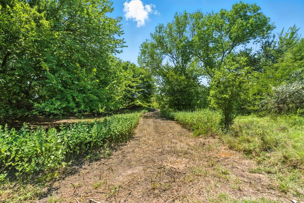 TBD Dill Road