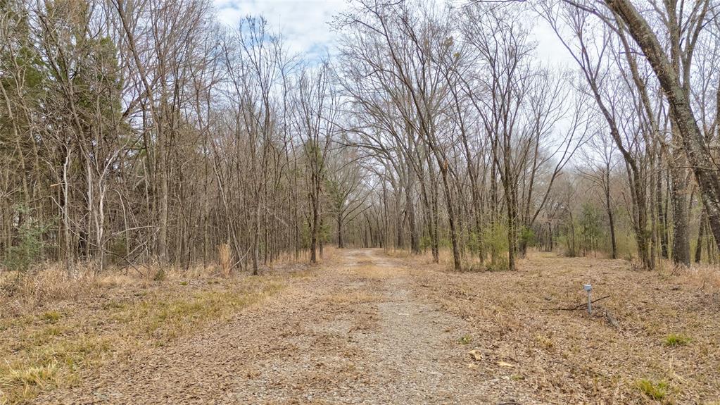 ABST: 200, SUR: WM DRODDY - Land