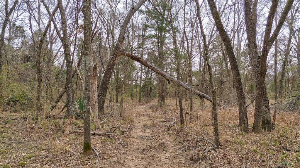 ABST: 200, SUR: WM DRODDY - Land