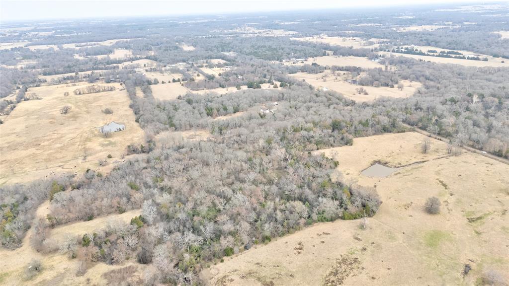 ABST: 200, SUR: WM DRODDY - Land