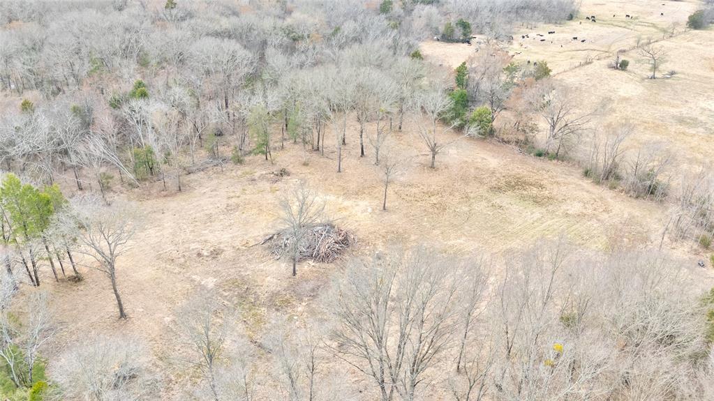 ABST: 200, SUR: WM DRODDY - Land