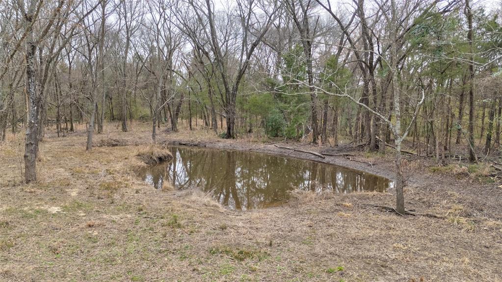 ABST: 200, SUR: WM DRODDY - Land