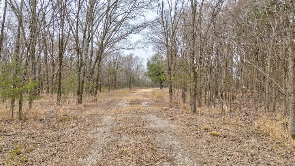 ABST: 200, SUR: WM DRODDY - Land