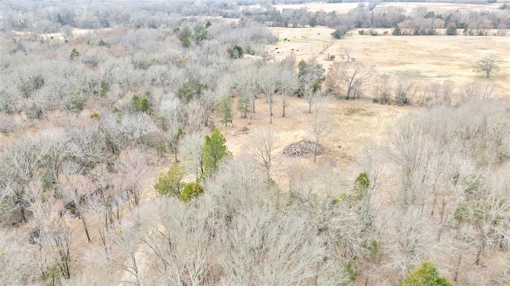 ABST: 200, SUR: WM DRODDY - Land