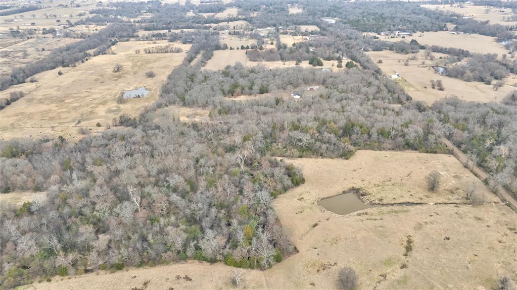 ABST: 200, SUR: WM DRODDY - Land