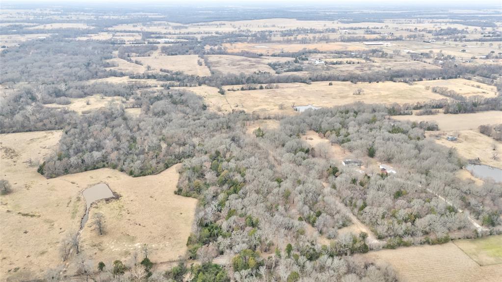 ABST: 200, SUR: WM DRODDY - Land