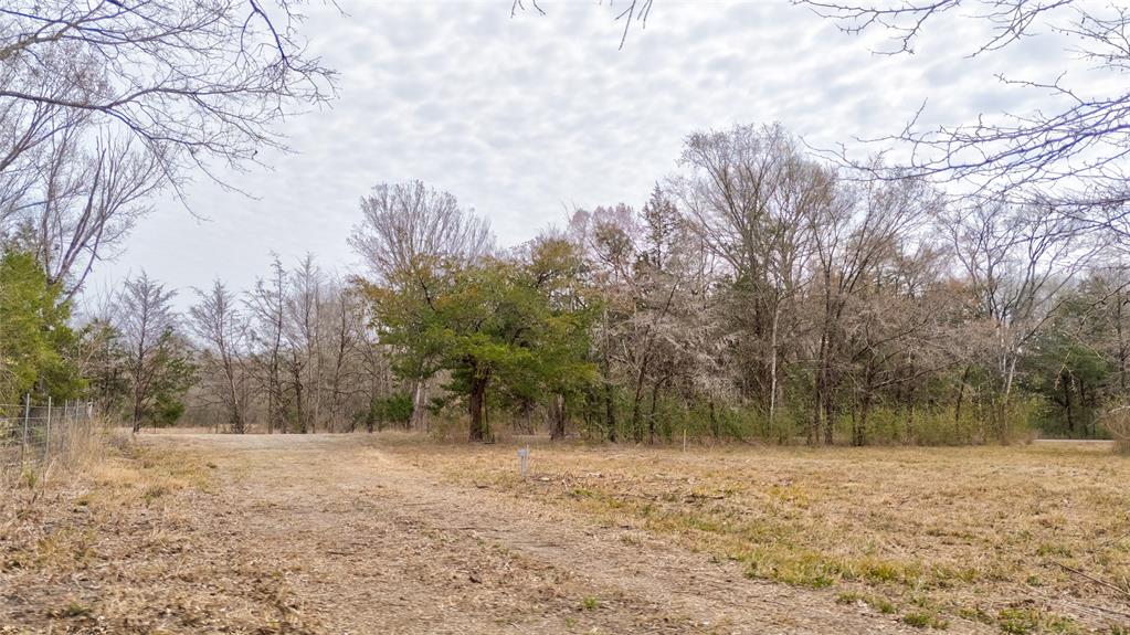 ABST: 200, SUR: WM DRODDY - Land