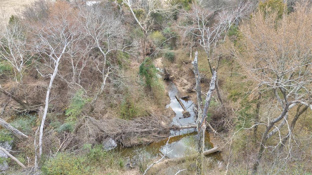 ABST: 200, SUR: WM DRODDY - Land