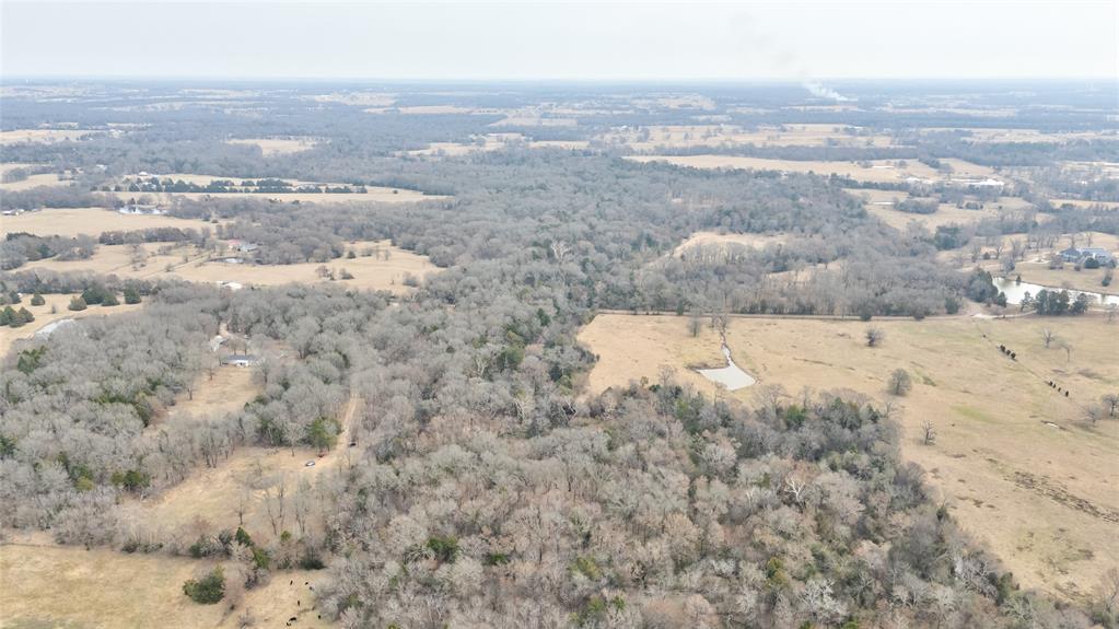 ABST: 200, SUR: WM DRODDY - Land