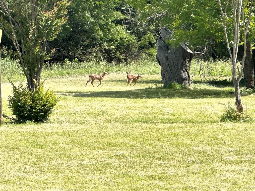 Indian Creek - Residential