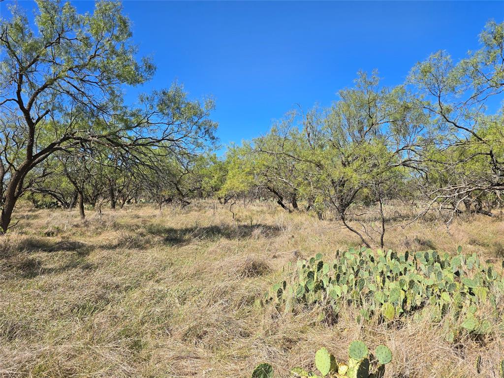 8447 County Road 210