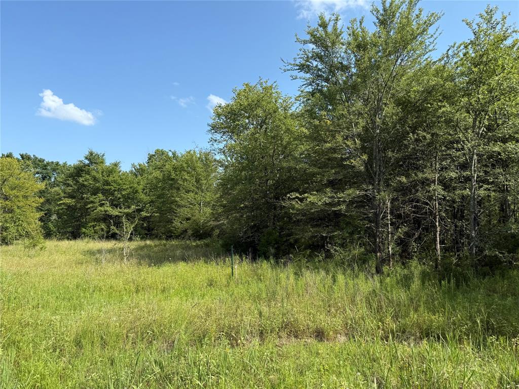 Samaire Estates - Land