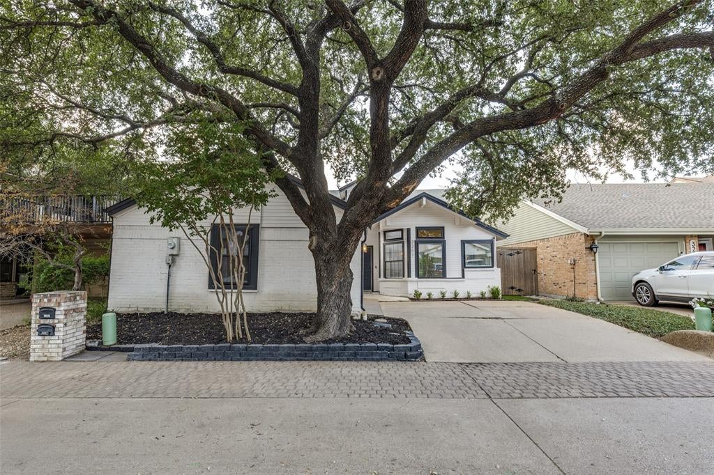 3207 Basil Court