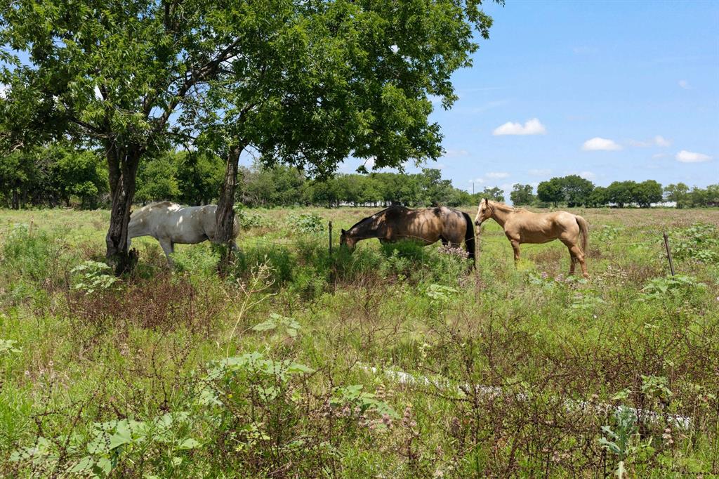 View Alvarado, TX 76009 mobile home