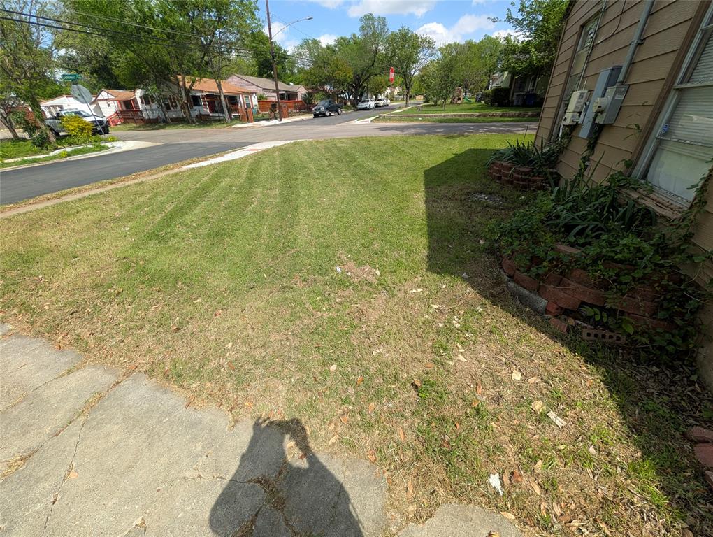 Blue Bonnet Lawn - Residential