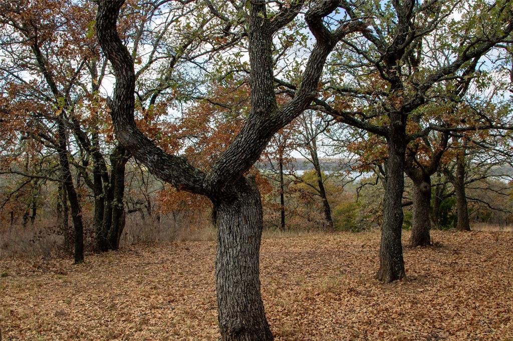 Nocona Hills - Residential