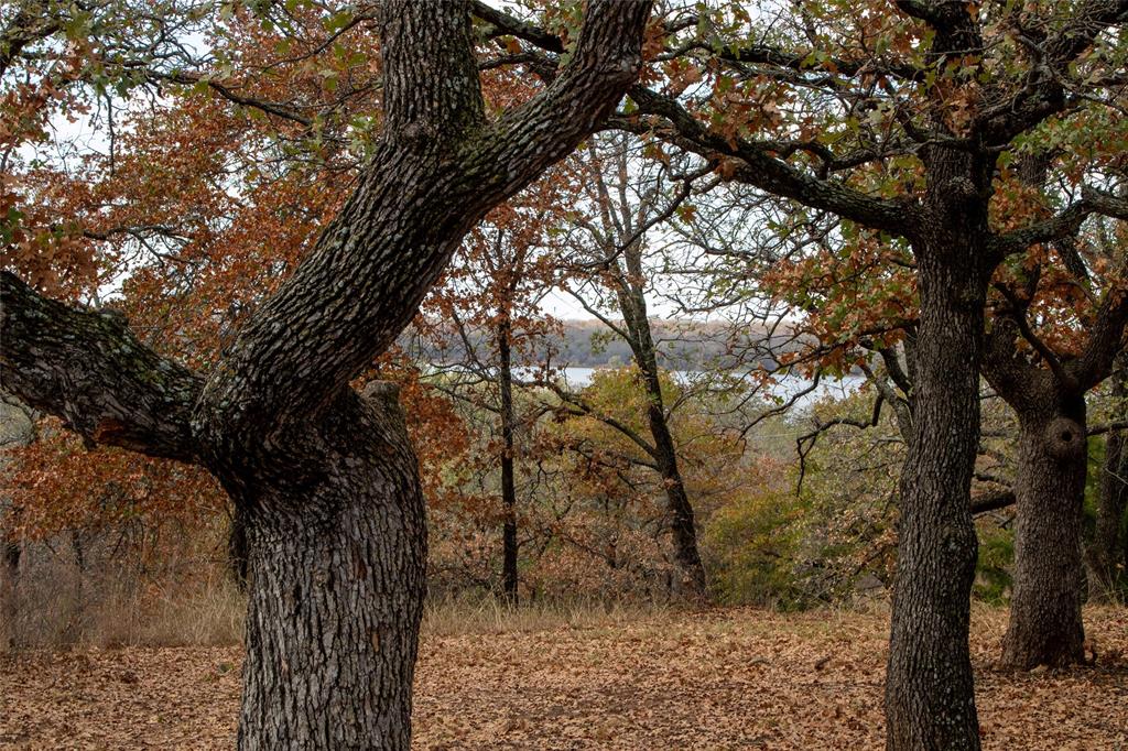 Nocona Hills - Residential