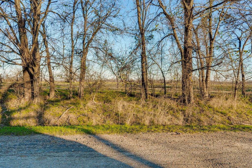 James Hopkins - Land