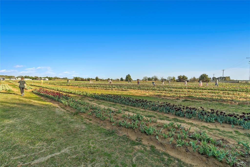 Mobberly Farms - Residential