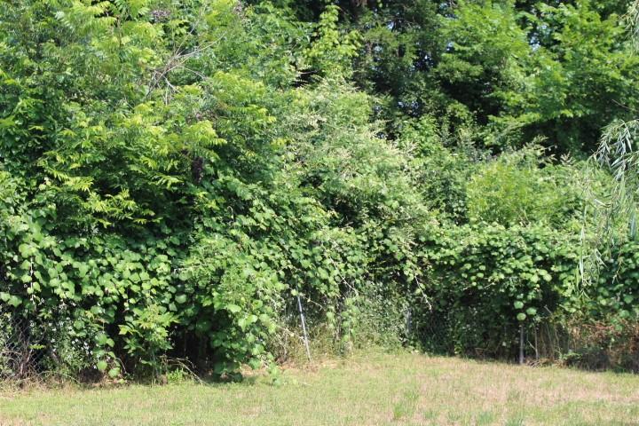 Fruitdale Acres - Residential