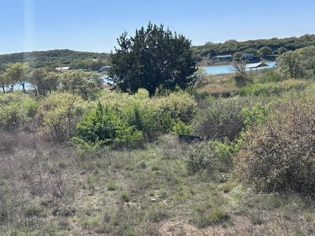 Hidden Shores - Land