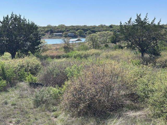 Hidden Shores - Land