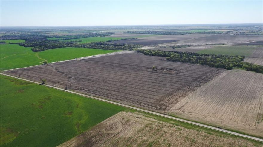 Located just northeast of Collinsville, this 80.9-acre tract offers a highly usable and productive piece of North Texas farmland with excellent long-term investment potential. The property features approximately 1,700 feet of combined road frontage along McCombs Cemetery Road and Davis Road, providing strong access and flexibility for future use.

Approximately 59 acres are currently in cultivation and supported by an active agricultural exemption, making it well-suited for continued row crop production including wheat, soybeans, or corn. The remaining acreage offers additional utility for expansion, grazing, or future improvement.

The land is predominantly flat with no FEMA-designated floodplain, allowing for maximum usability across the tract. Electricity is available along the road, and while water availability is unknown, the property’s layout and frontage provide multiple potential build sites for future consideration.

Whether you are looking to expand an existing farming operation or secure a buy-and-hold investment in a steadily growing area of North Texas, this property offers a clean, functional canvas with strong fundamentals.