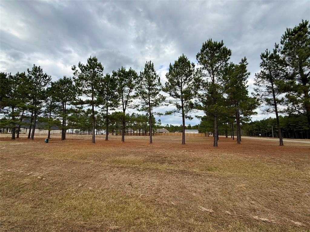 Faith Plantation - Land