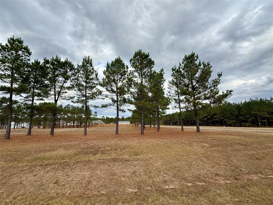 Build Your Dream Home in Faith Plantation on this spacious corner lot!!
Ready to build the home you’ve always dreamed of? Welcome to Faith Plantation—a new, thoughtfully planned subdivision featuring large 1+ acre wooded lots, tucked away in a peaceful setting just minutes from the interstate and within the top-rated Haughton school district. Enjoy a stocked pond located in Unit 2, perfect for peaceful mornings or weekend fishing. This beautiful corner lot has already been cleared and is ready to build on! With AT&T Fiber high-speed internet available, you’ll enjoy all the benefits of rural living without sacrificing modern convenience. Homes must be at least 1,850 sq ft, and you’re free to choose your own builder with no immediate construction deadline. Come check out this beautiful lot today!