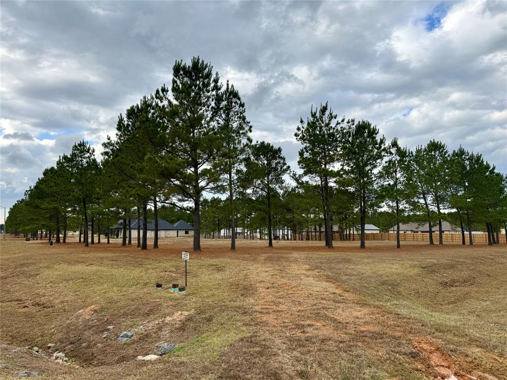 Faith Plantation - Land