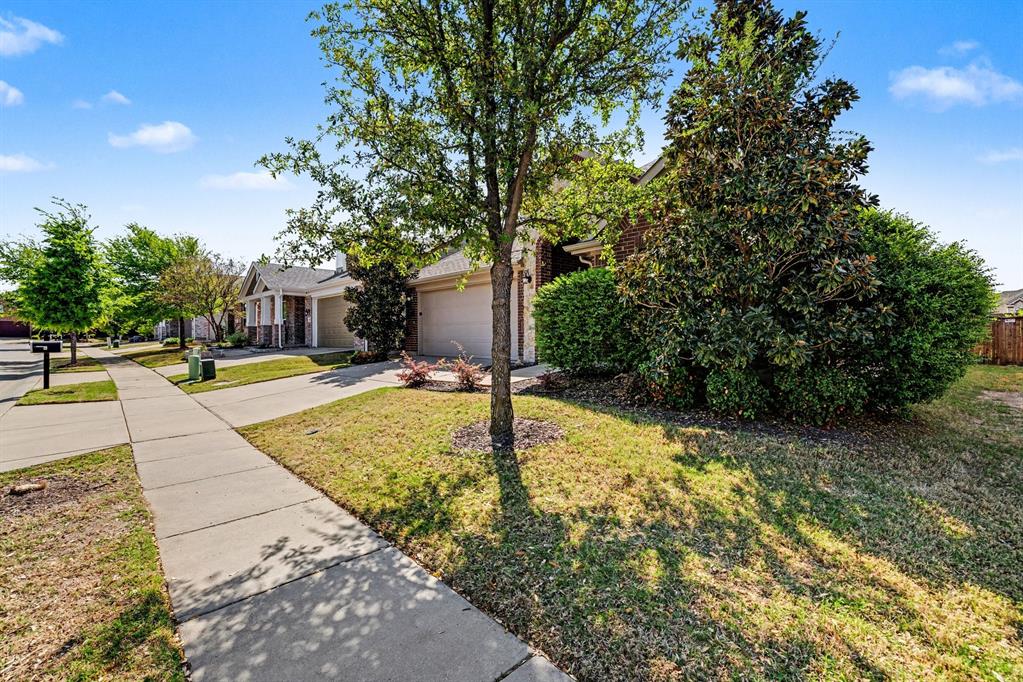 412 Smokebrush Street