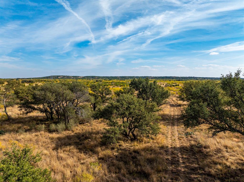 Buffalo4 Ranch County Road 290