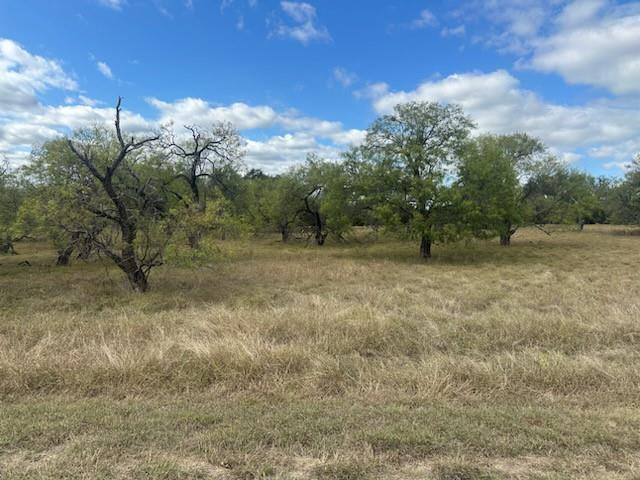 White Bluff #19 - Land