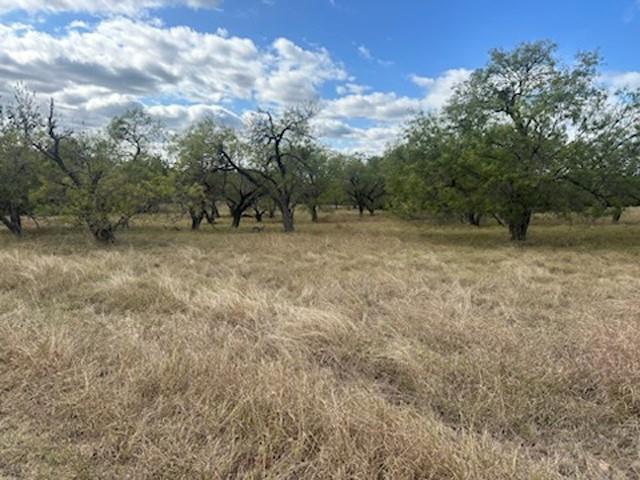 White Bluff #19 - Land