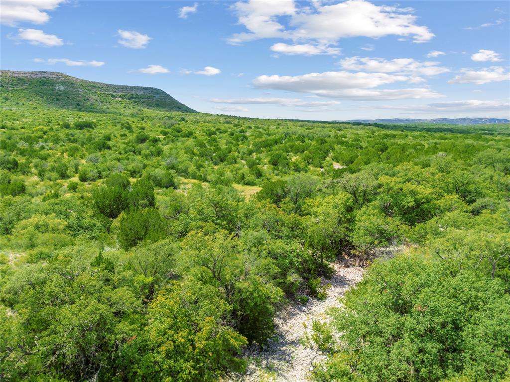 Nueces River Ranch Hwy 55
